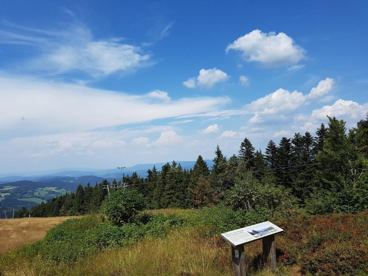 Traumurlaub Im Bayerische Wald Sankt Englmar Dış mekan fotoğraf
