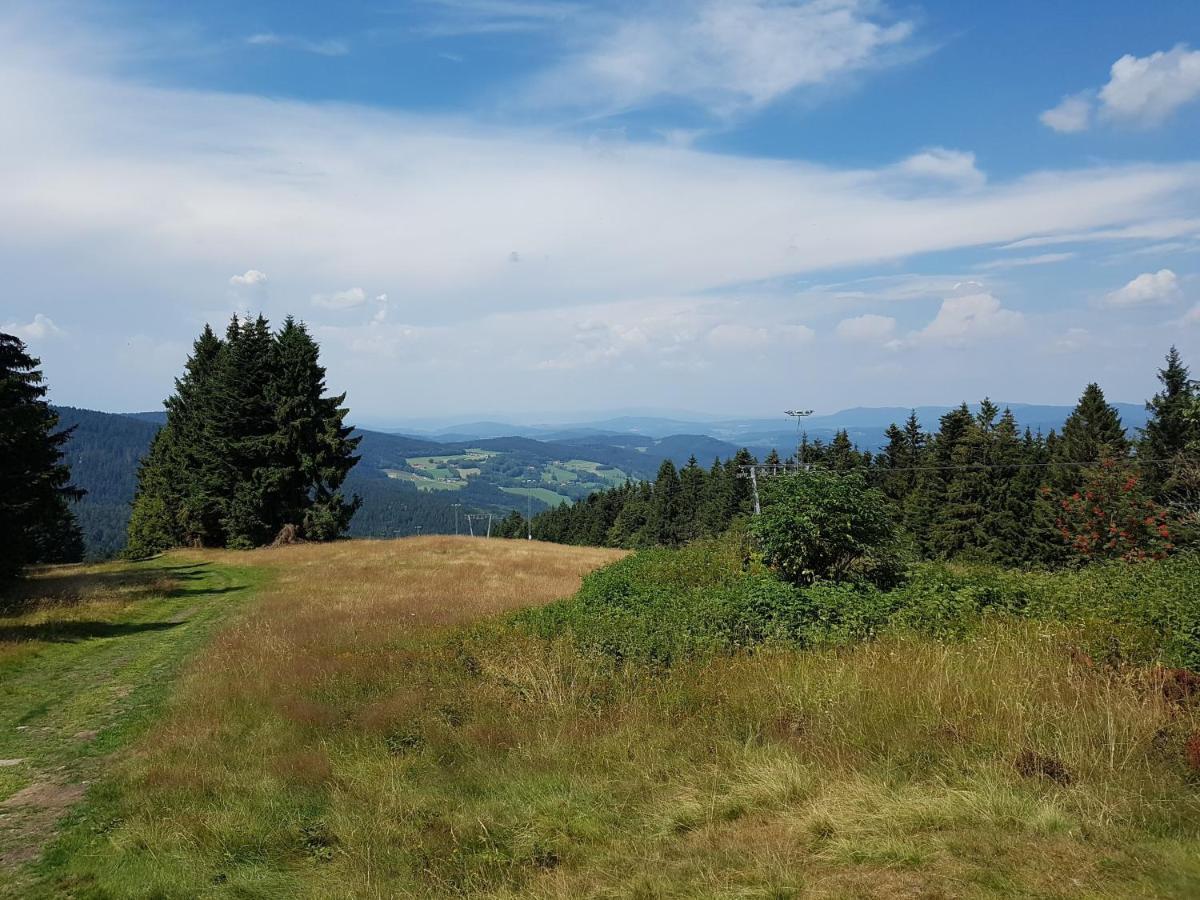 Traumurlaub Im Bayerische Wald Sankt Englmar Dış mekan fotoğraf