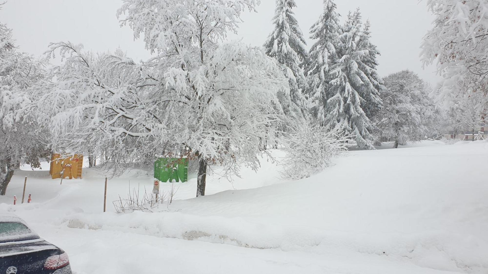Traumurlaub Im Bayerische Wald Sankt Englmar Dış mekan fotoğraf